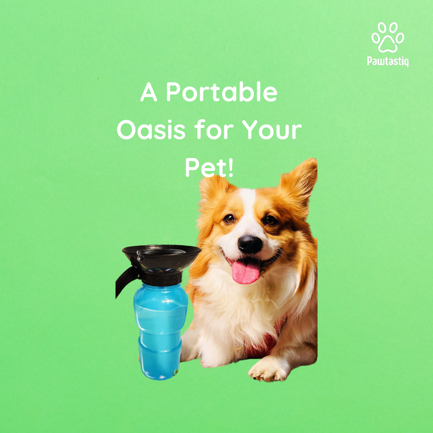 Pet Oasis Bottle – Keep Your Pet Refreshed Anywhere