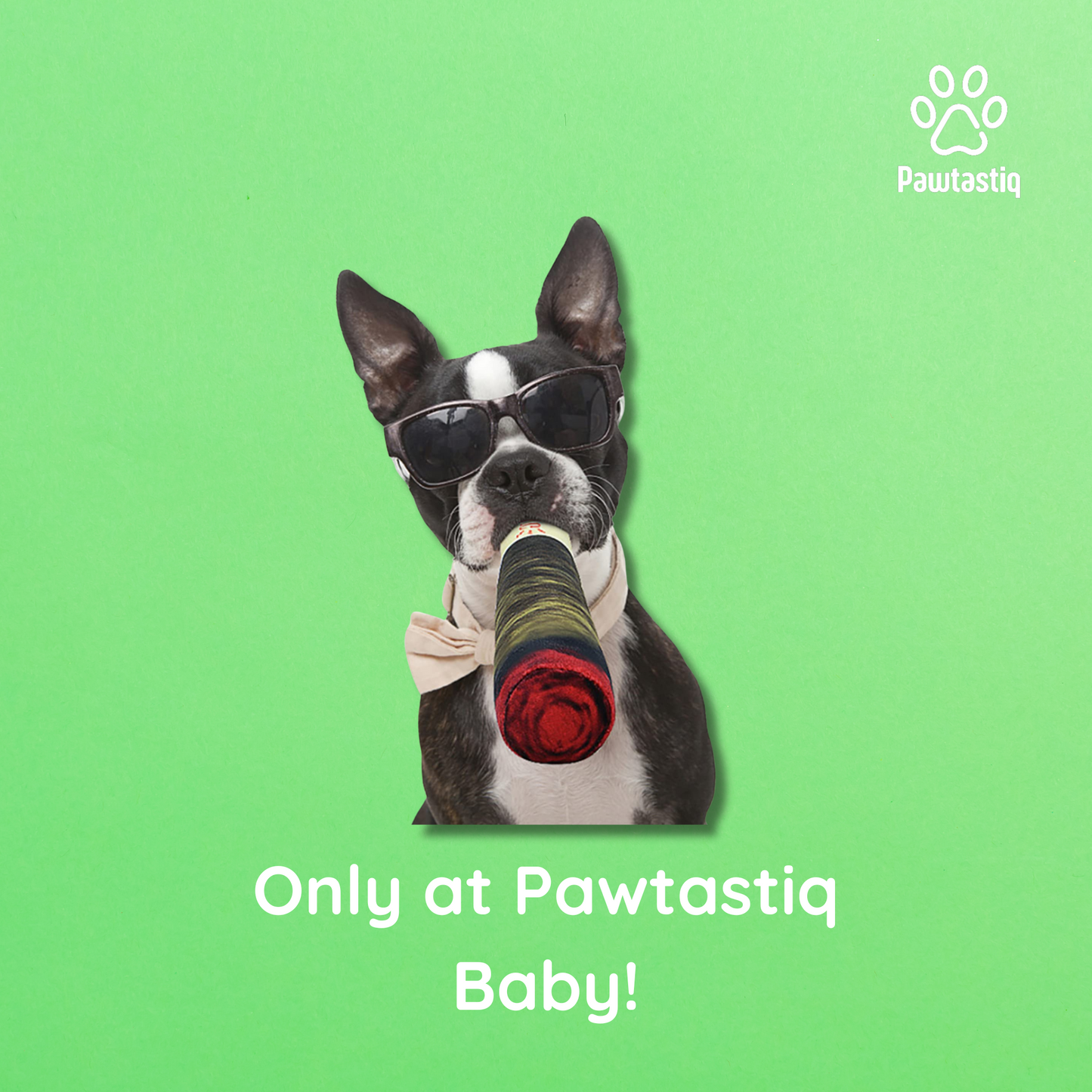 Pawtastiq Cigar Chewable – The Unbreakable Chew Toy