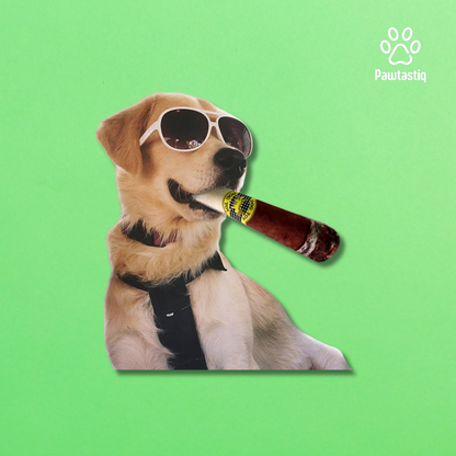 Pawtastiq Cigar Chewable – The Unbreakable Chew Toy